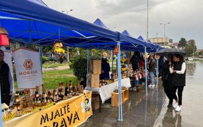 Exhibition in Tetove