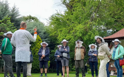 Danish-English visitors